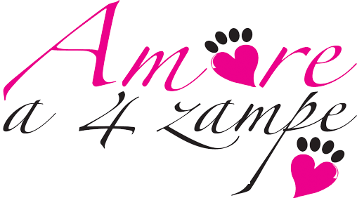 Amore a 4 Zampe